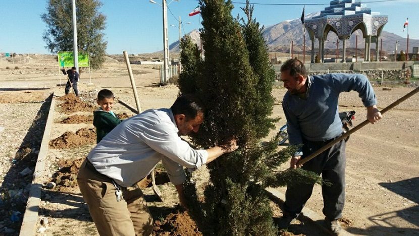 24-    کاشت نهال درخت در جوار شهدای گمنام سروستان انجام شد